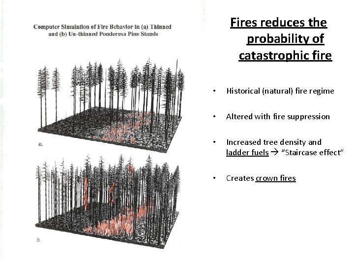 Fires reduces the probability of catastrophic fire • Historical (natural) fire regime • Altered