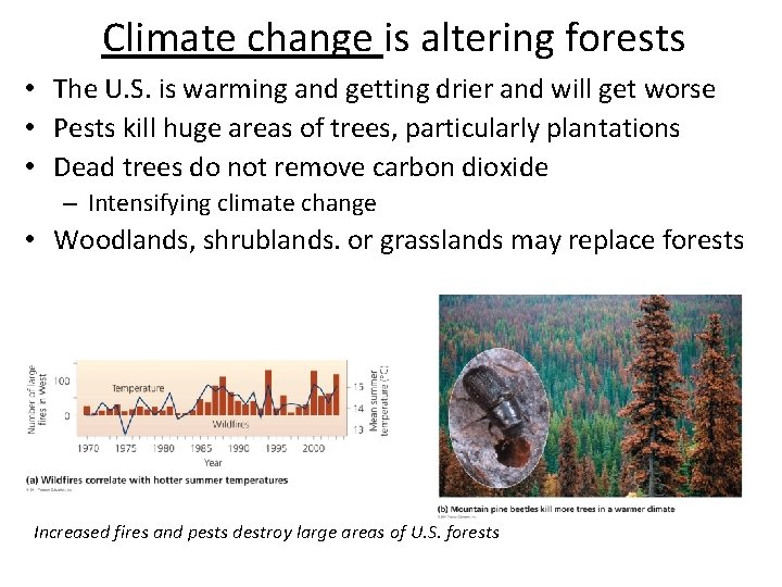 Climate change is altering forests • The U. S. is warming and getting drier
