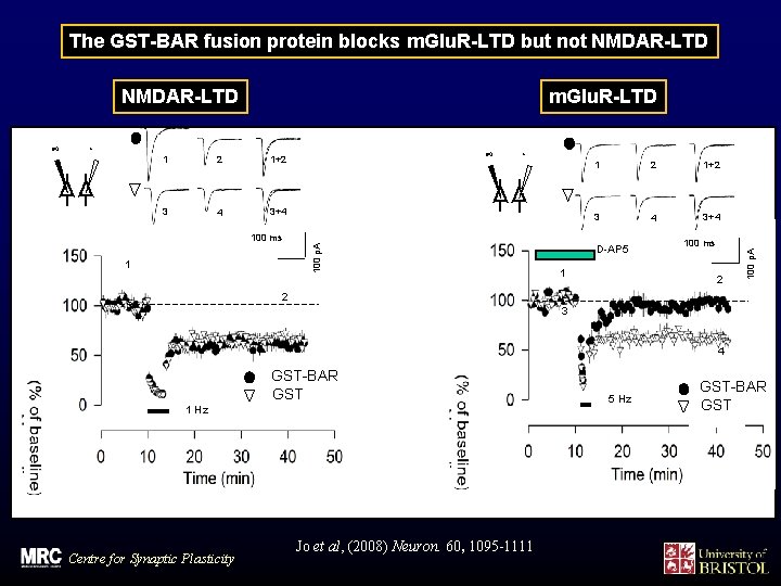 The GST-BAR fusion protein blocks m. Glu. R-LTD but not NMDAR-LTD 1 2 1+2