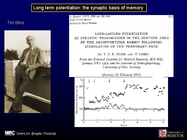 Long term potentiation: the synaptic basis of memory Tim Bliss Centre for Synaptic Plasticity