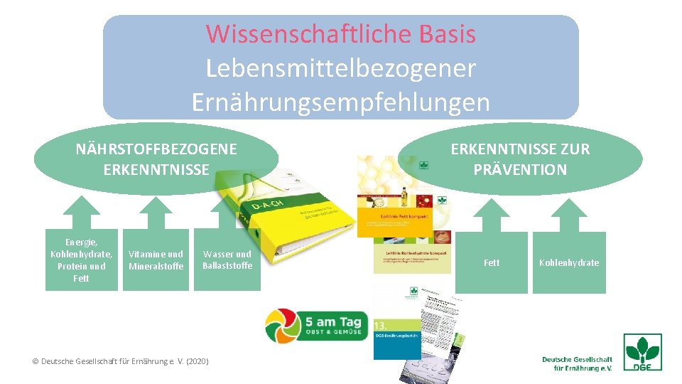 Wissenschaftliche Basis Lebensmittelbezogener Ernährungsempfehlungen NÄHRSTOFFBEZOGENE ERKENNTNISSE Energie, Kohlenhydrate, Protein und Fett Vitamine und Mineralstoffe