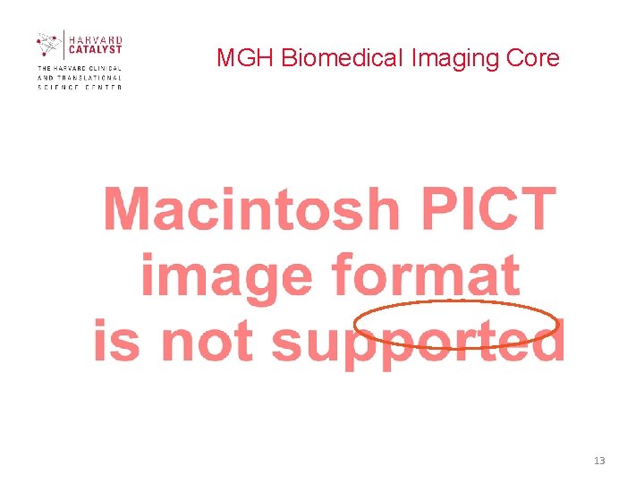 MGH Biomedical Imaging Core 13 