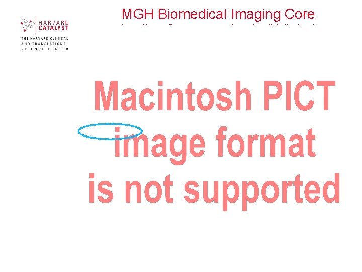 MGH Biomedical Imaging Core http: //www 2. massgeneral. org/crc/bic/index. htm 14 