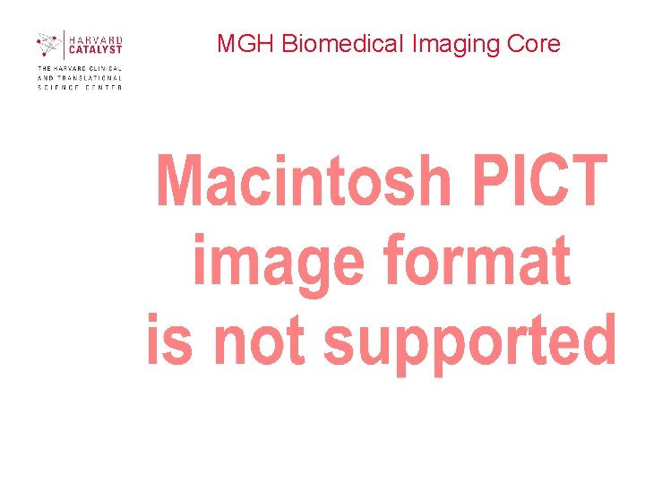 MGH Biomedical Imaging Core http: //www 2. massgeneral. org/crc/bic/index. htm 15 