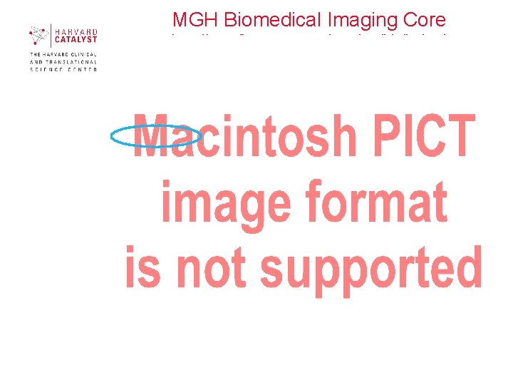 MGH Biomedical Imaging Core http: //www 2. massgeneral. org/crc/bic/index. htm 16 