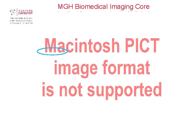 MGH Biomedical Imaging Core http: //www 2. massgeneral. org/crc/bic/index. htm 20 