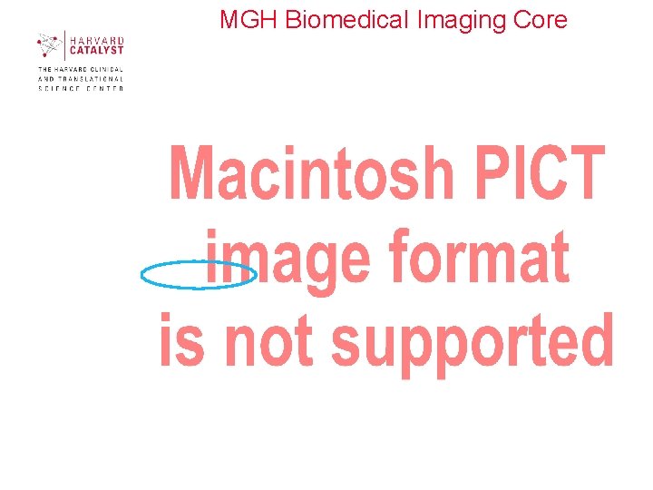 MGH Biomedical Imaging Core 22 