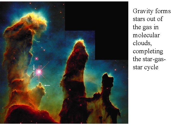 Gravity forms stars out of the gas in molecular clouds, completing the star-gasstar cycle