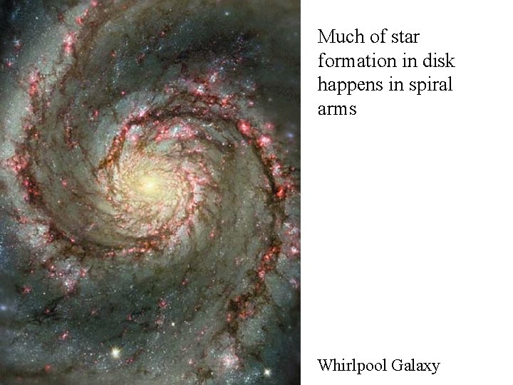 Much of star formation in disk happens in spiral arms Whirlpool Galaxy 