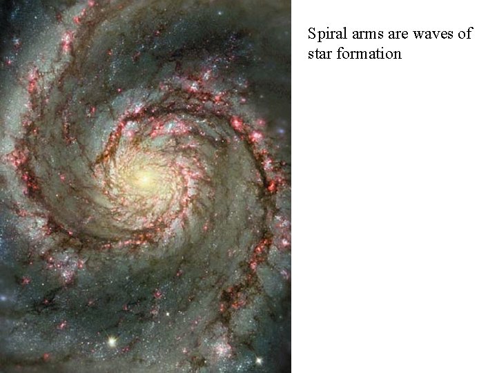Spiral arms are waves of star formation 