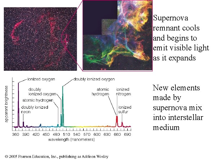 Supernova remnant cools and begins to emit visible light as it expands New elements