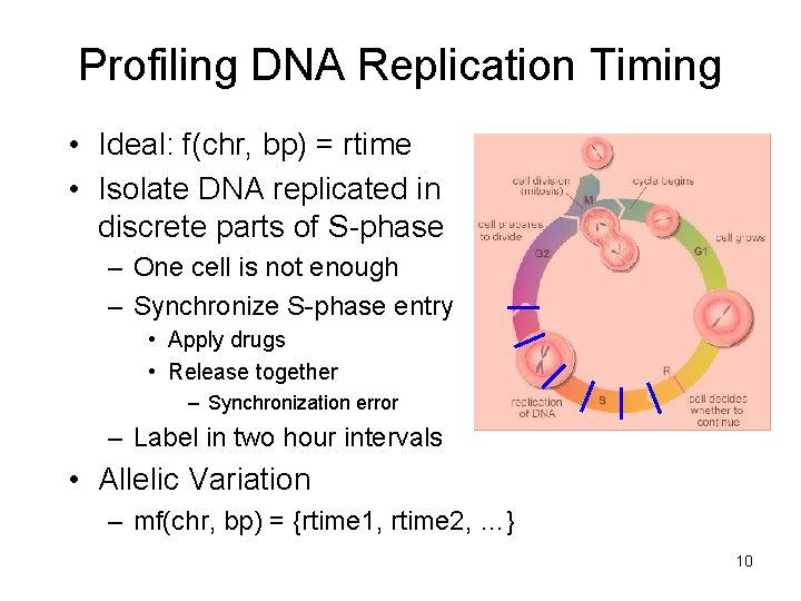 Profiling DNA Replication Timing • Ideal: f(chr, bp) = rtime • Isolate DNA replicated Profiling DNA Replication Timing • Ideal: f(chr, bp) = rtime • Isolate DNA replicated