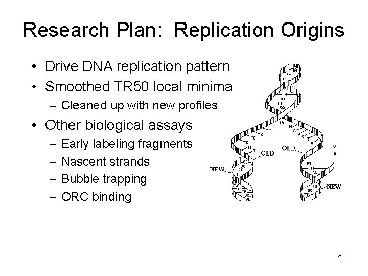 Research Plan: Replication Origins • Drive DNA replication pattern • Smoothed TR 50 local Research Plan: Replication Origins • Drive DNA replication pattern • Smoothed TR 50 local