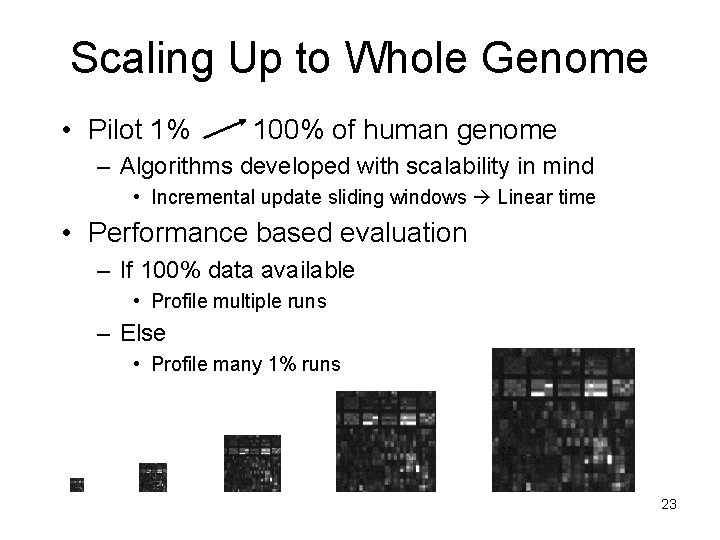 Scaling Up to Whole Genome • Pilot 1% 100% of human genome – Algorithms Scaling Up to Whole Genome • Pilot 1% 100% of human genome – Algorithms