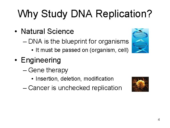 Why Study DNA Replication? • Natural Science – DNA is the blueprint for organisms Why Study DNA Replication? • Natural Science – DNA is the blueprint for organisms