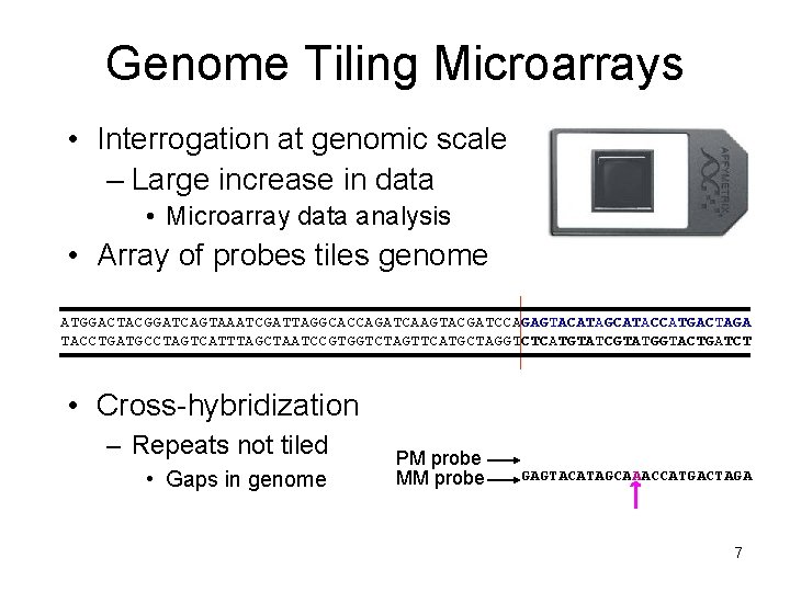 Genome Tiling Microarrays • Interrogation at genomic scale – Large increase in data • Genome Tiling Microarrays • Interrogation at genomic scale – Large increase in data •