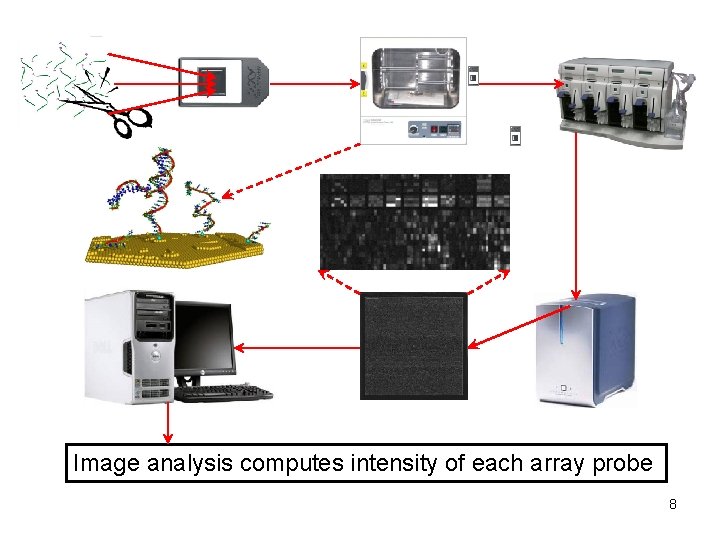 Image analysis computes intensity of each array probe 8 Image analysis computes intensity of each array probe 8
