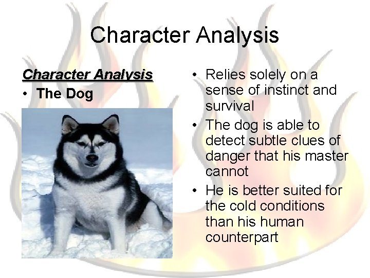 Character Analysis • The Dog • Relies solely on a sense of instinct and