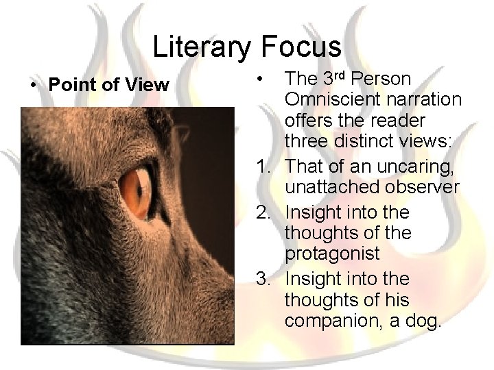 Literary Focus • Point of View • The 3 rd Person Omniscient narration offers