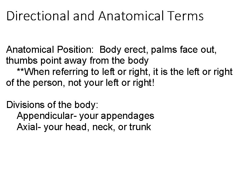Directional and Anatomical Terms Anatomical Position: Body erect, palms face out, thumbs point away