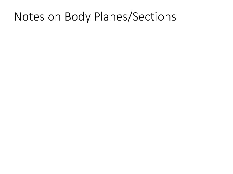 Notes on Body Planes/Sections 