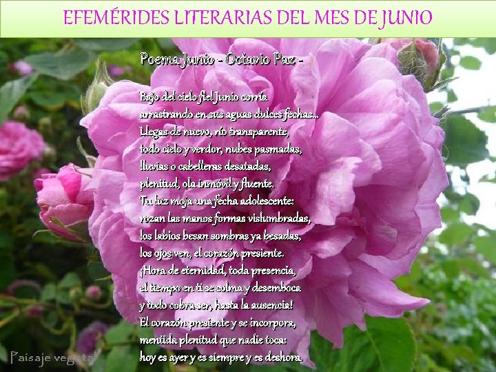 EFEMÉRIDES LITERARIAS DEL MES DE JUNIO Poema Junio - Octavio Paz Bajo del cielo