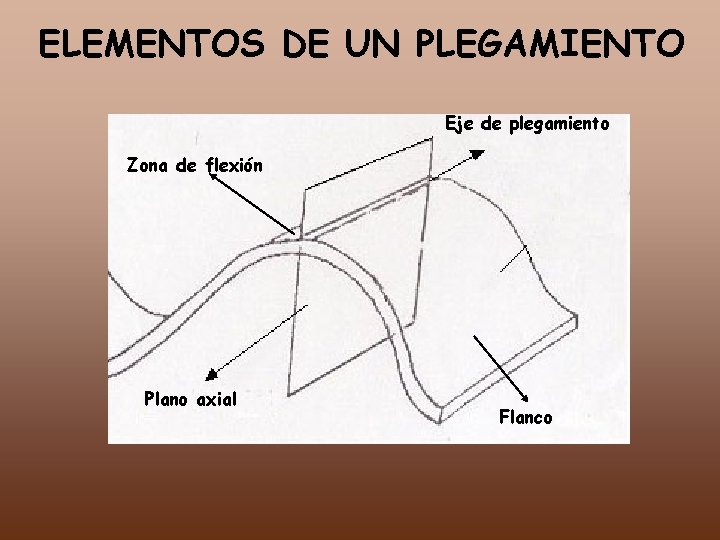 ELEMENTOS DE UN PLEGAMIENTO Eje de plegamiento Zona de flexión Plano axial Flanco 