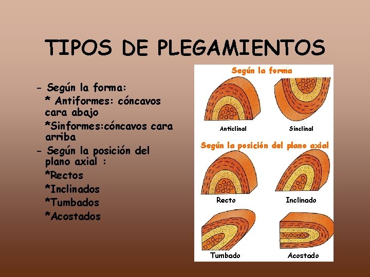 TIPOS DE PLEGAMIENTOS Según la forma - Según la forma: * Antiformes: cóncavos cara