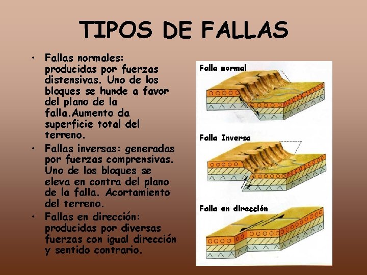 TIPOS DE FALLAS • Fallas normales: producidas por fuerzas distensivas. Uno de los bloques