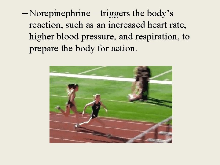 – Norepinephrine – triggers the body’s reaction, such as an increased heart rate, higher