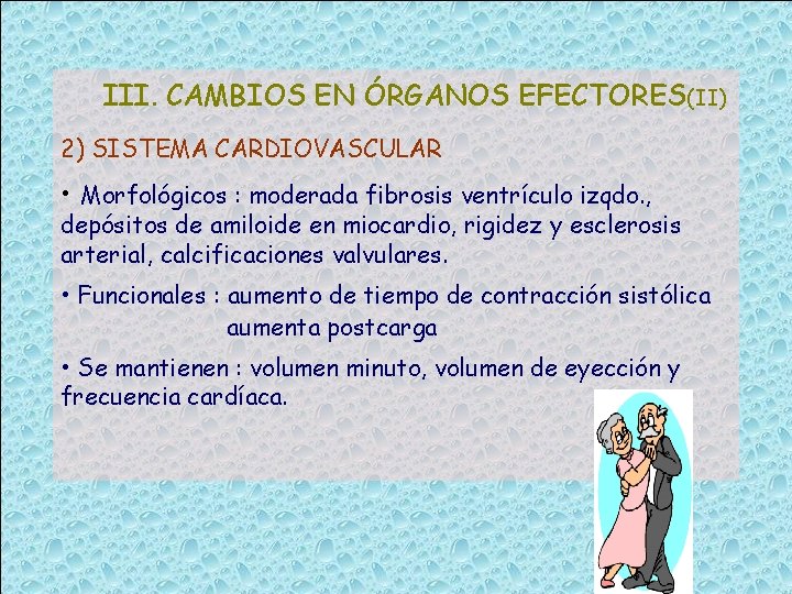 III. CAMBIOS EN ÓRGANOS EFECTORES(II) 2) SISTEMA CARDIOVASCULAR • Morfológicos : moderada fibrosis ventrículo