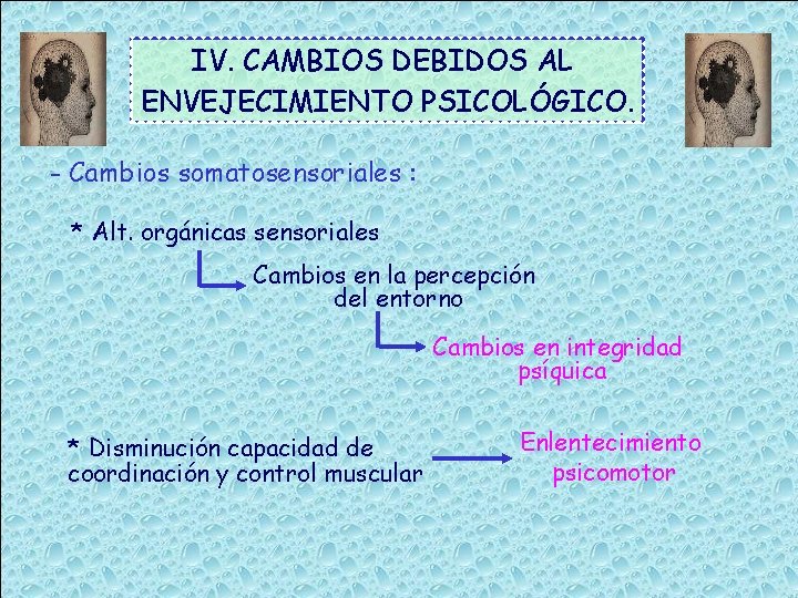 IV. CAMBIOS DEBIDOS AL ENVEJECIMIENTO PSICOLÓGICO. - Cambios somatosensoriales : * Alt. orgánicas sensoriales
