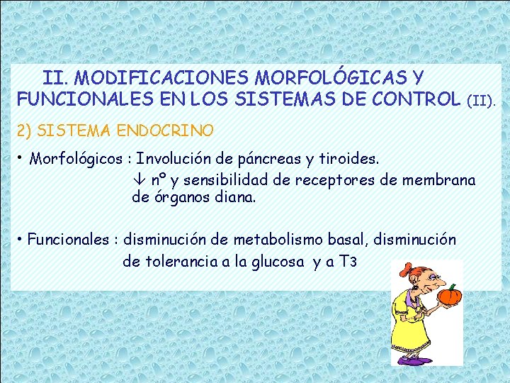 II. MODIFICACIONES MORFOLÓGICAS Y FUNCIONALES EN LOS SISTEMAS DE CONTROL (II). 2) SISTEMA ENDOCRINO