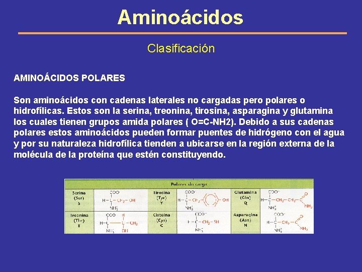 Aminoácidos Clasificación AMINOÁCIDOS POLARES Son aminoácidos con cadenas laterales no cargadas pero polares o