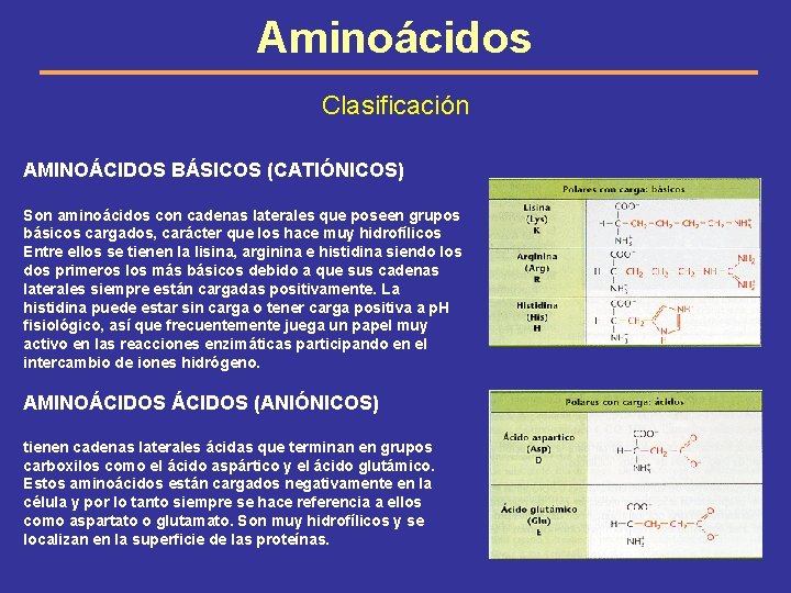 Aminoácidos Clasificación AMINOÁCIDOS BÁSICOS (CATIÓNICOS) Son aminoácidos con cadenas laterales que poseen grupos básicos