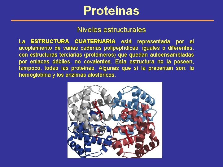 Proteínas Niveles estructurales La ESTRUCTURA CUATERNARIA está representada por el acoplamiento de varias cadenas