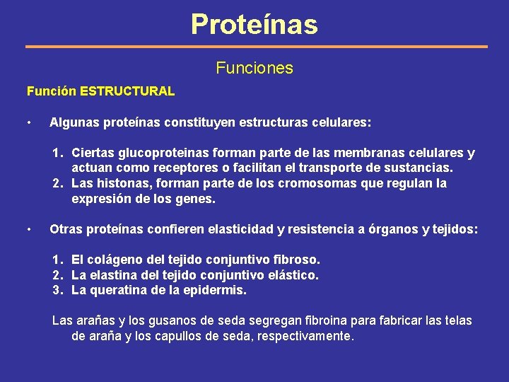 Proteínas Funciones Función ESTRUCTURAL • Algunas proteínas constituyen estructuras celulares: 1. Ciertas glucoproteinas forman