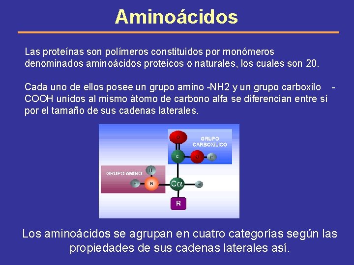 Aminoácidos Las proteínas son polímeros constituidos por monómeros denominados aminoácidos proteicos o naturales, los