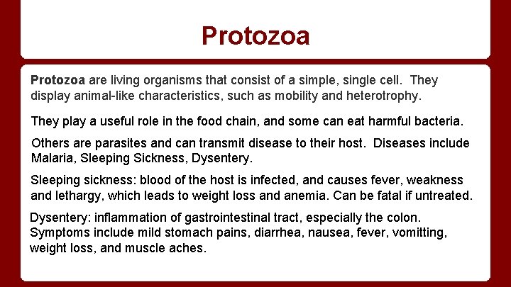 Protozoa are living organisms that consist of a simple, single cell. They display animal-like