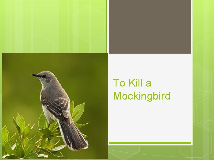 To Kill a Mockingbird 