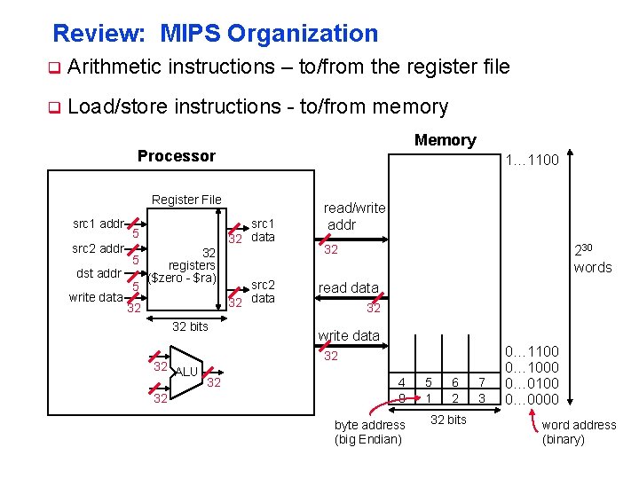 Review: MIPS Organization q Arithmetic instructions – to/from the register file q Load/store instructions