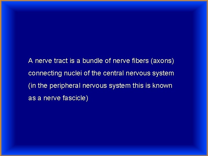 A nerve tract is a bundle of nerve fibers (axons) connecting nuclei of the