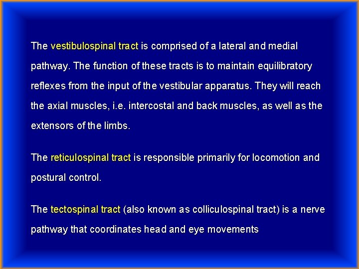 The vestibulospinal tract is comprised of a lateral and medial pathway. The function of