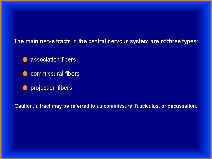 The main nerve tracts in the central nervous system are of three types: ●