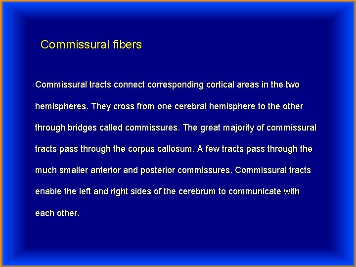 Commissural fibers Commissural tracts connect corresponding cortical areas in the two hemispheres. They cross