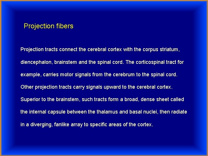 Projection fibers Projection tracts connect the cerebral cortex with the corpus striatum, diencephalon, brainstem