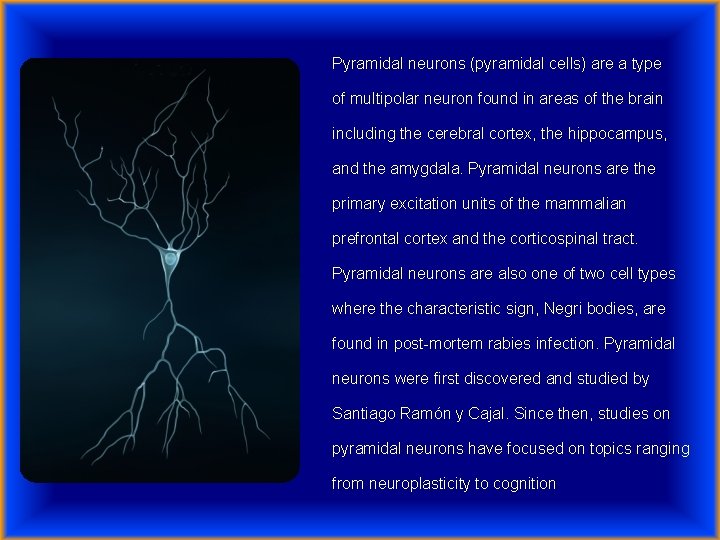 Pyramidal neurons (pyramidal cells) are a type of multipolar neuron found in areas of