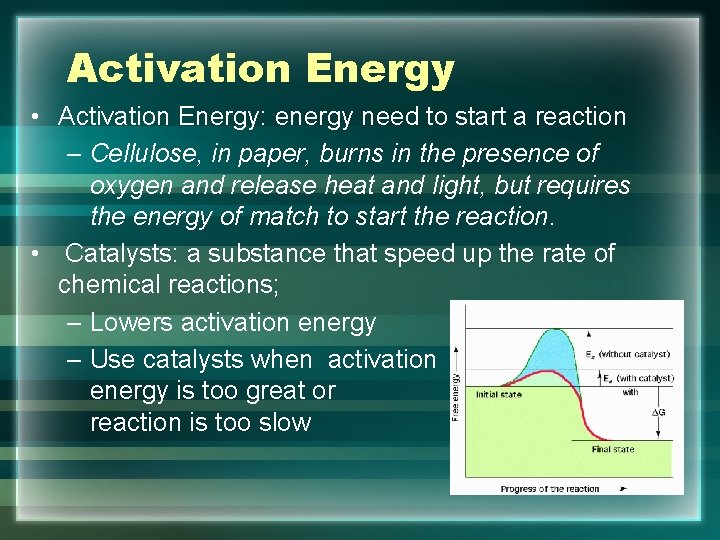Activation Energy • Activation Energy: energy need to start a reaction – Cellulose, in