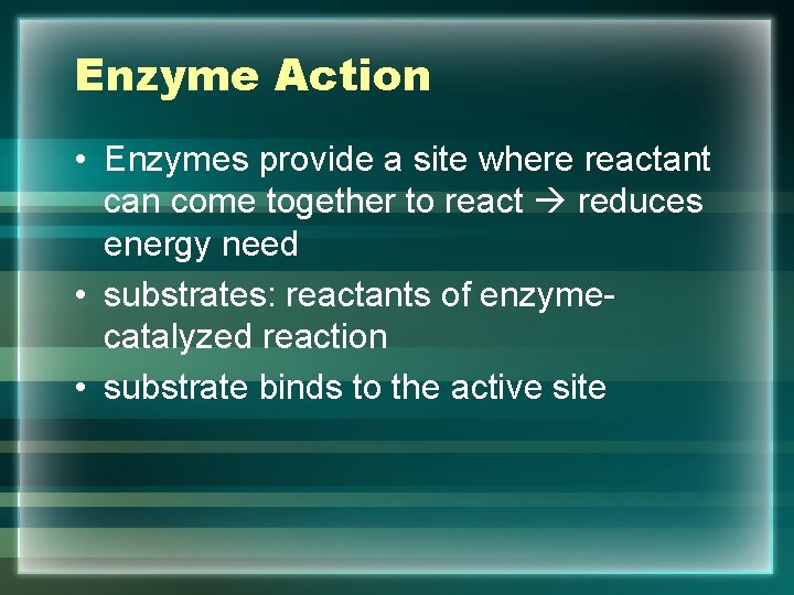 Enzyme Action • Enzymes provide a site where reactant can come together to react