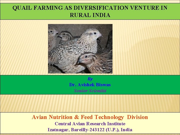 QUAIL FARMING AS DIVERSIFICATION VENTURE IN RURAL INDIA By Dr. Avishek Biswas Senior Scientist QUAIL FARMING AS DIVERSIFICATION VENTURE IN RURAL INDIA By Dr. Avishek Biswas Senior Scientist